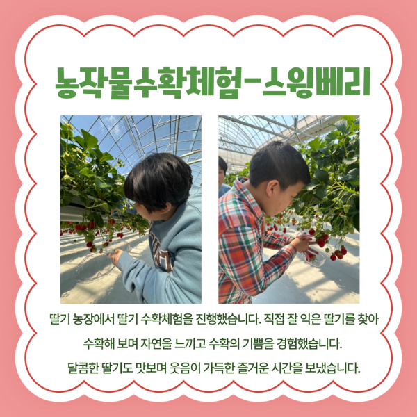 132cec36be4848872aed9cbce06645e8_1773391461_9415.png